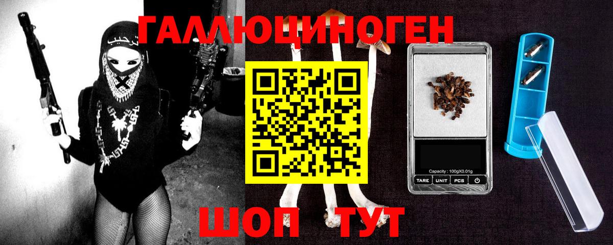 Амурск  Псилоцибиновые грибы MAGIC MUSHROOMS  Вход с VPN 