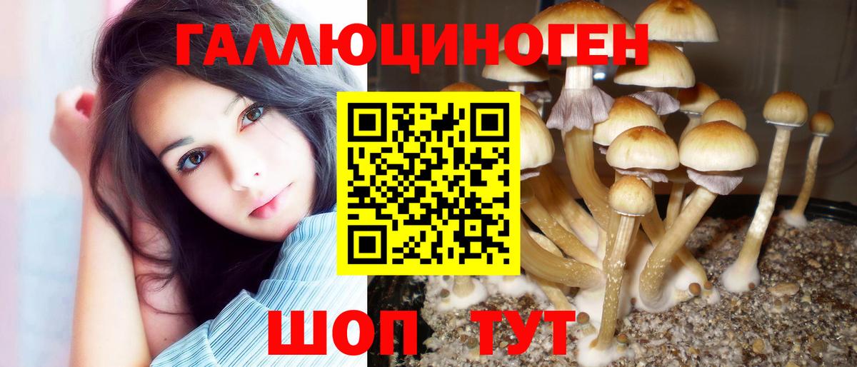 Галлюциногенные грибы Psilocybine cubensis Амурск